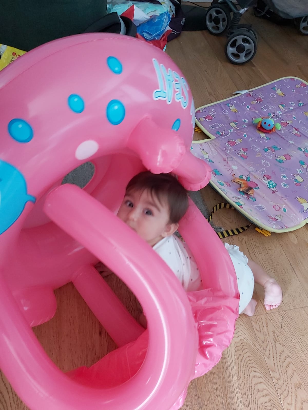 אלבום התמונות של שיר by sharon - Ourboox.com