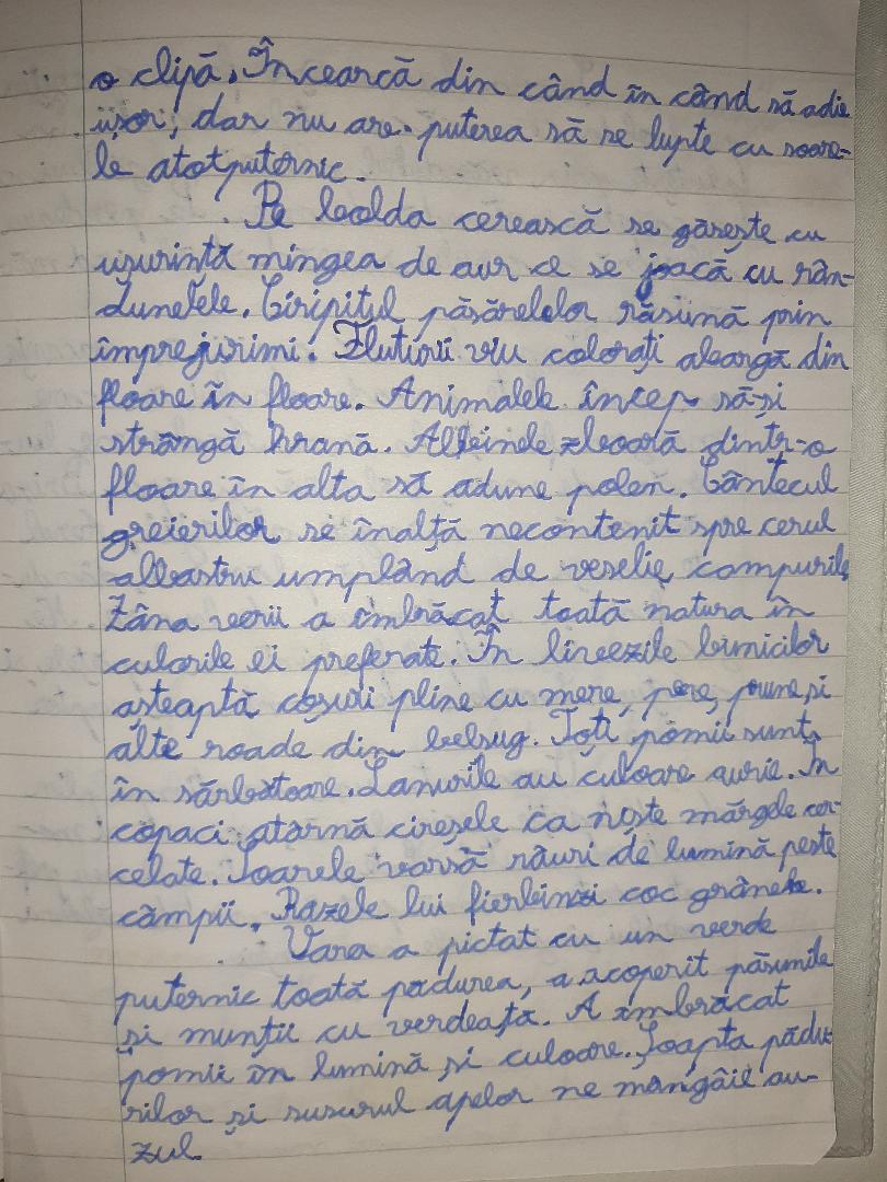 ANOTIMPURILE PRIN OCHI DE COPIL by rares - Ourboox.com