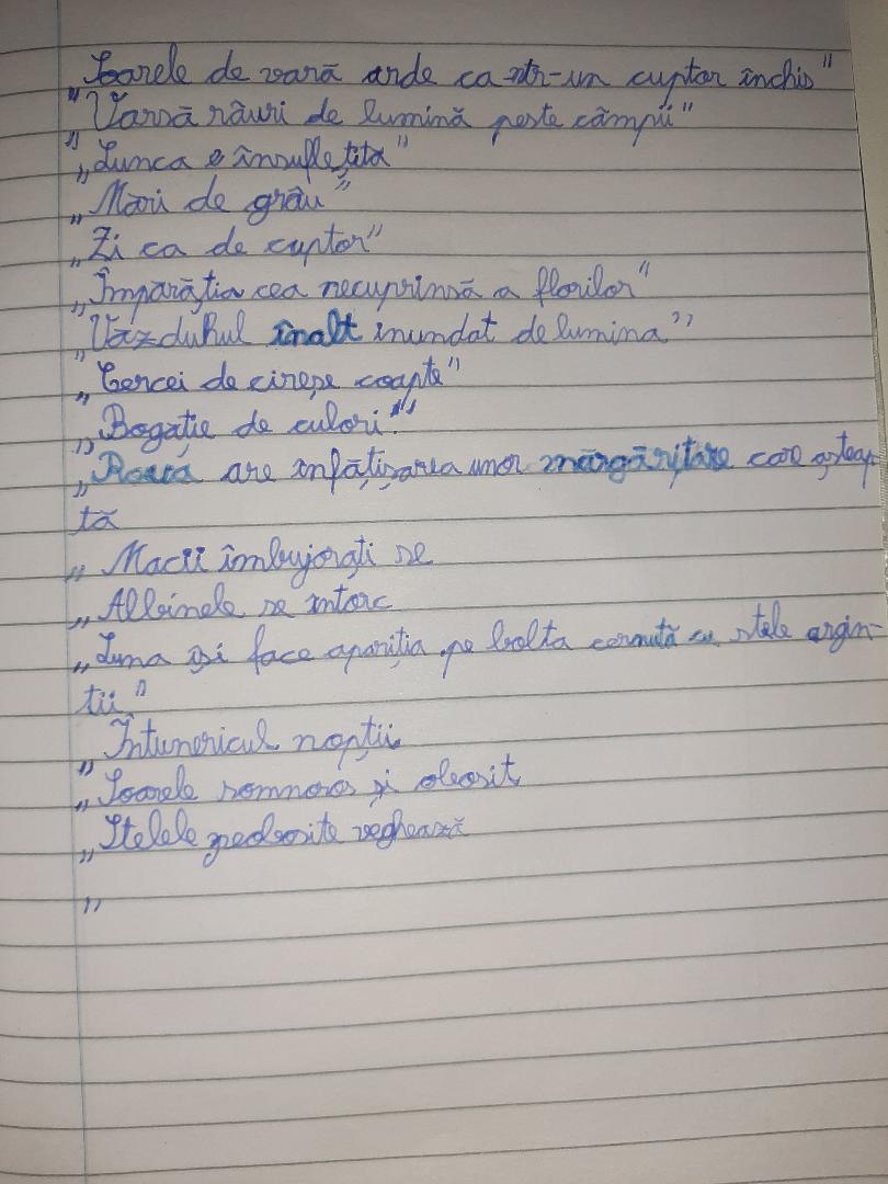 ANOTIMPURILE PRIN OCHI DE COPIL by rares - Ourboox.com