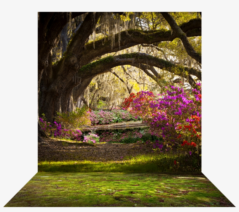 ANOTIMPURILE PRIN OCHI DE COPIL by rares - Ourboox.com