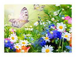 Anotimpurile prin ochi de copil by Alexia Ispas - Ourboox.com