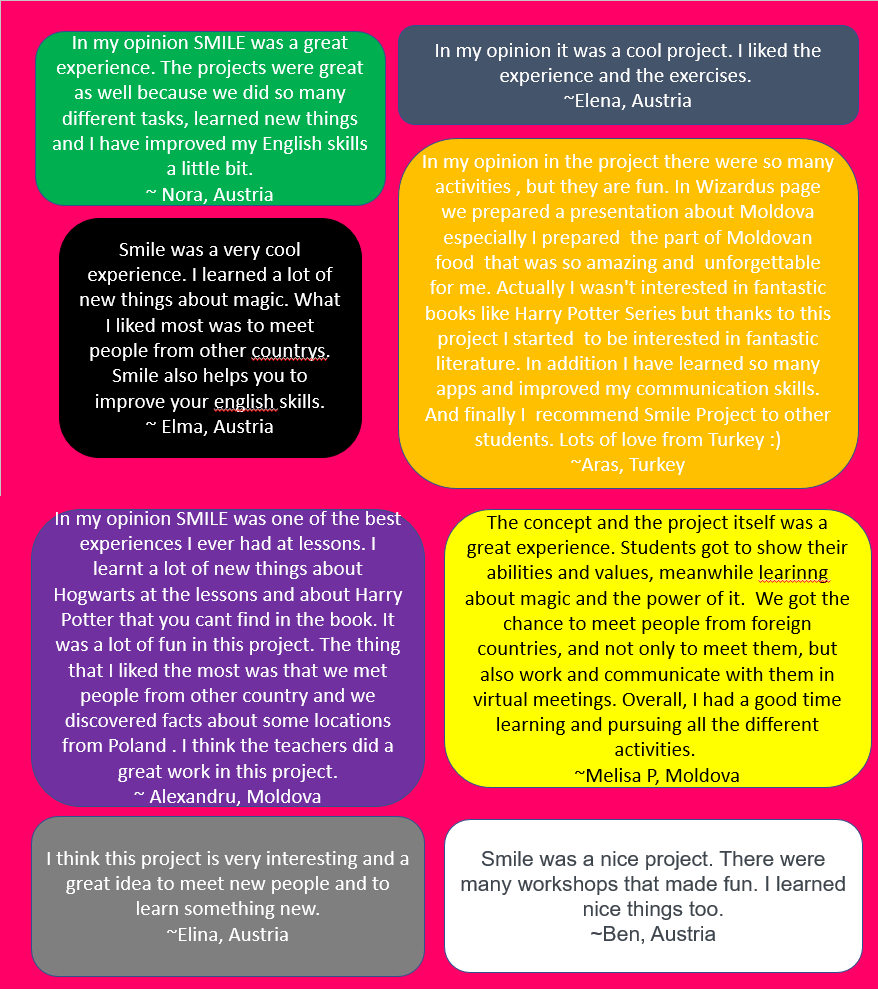 SMILE School Year Chronicles by Liiana Nederita - Ourboox.com