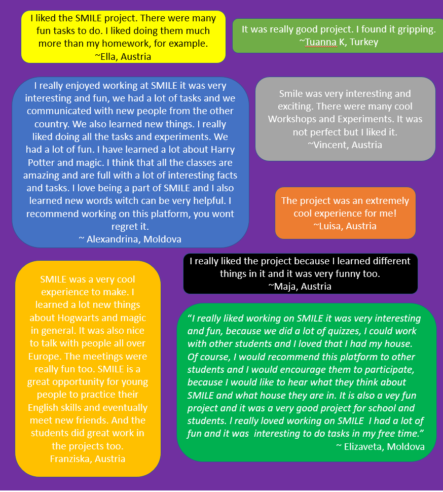 SMILE School Year Chronicles by Liiana Nederita - Ourboox.com