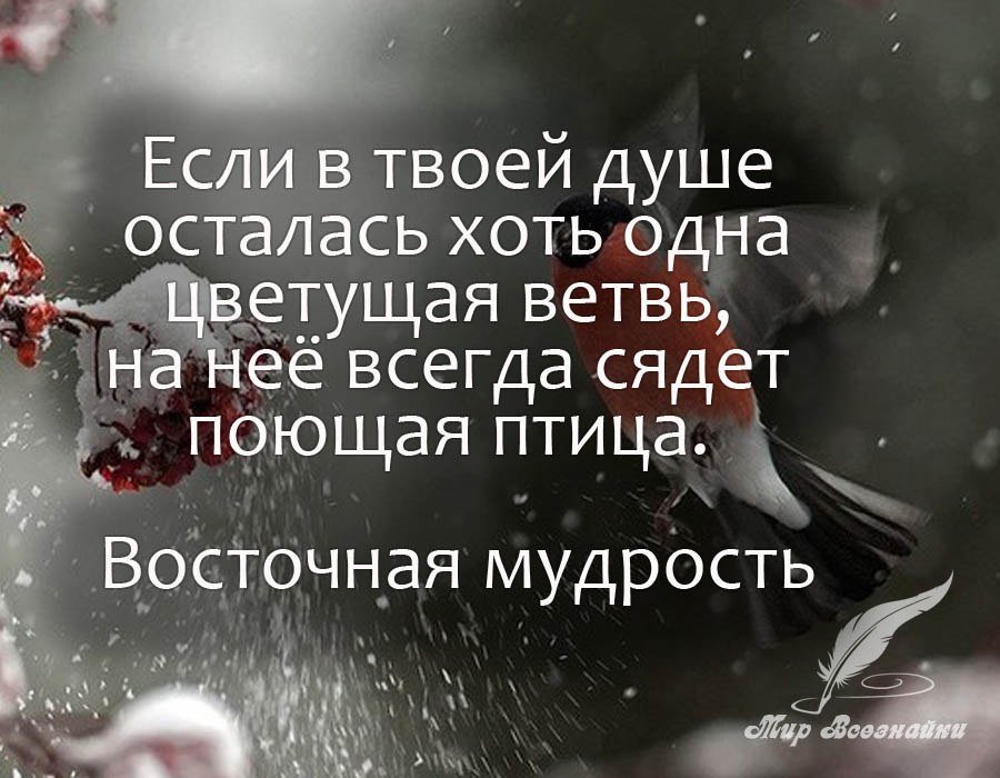 Мудрость жизни by Viktoria Matveeva - Ourboox.com