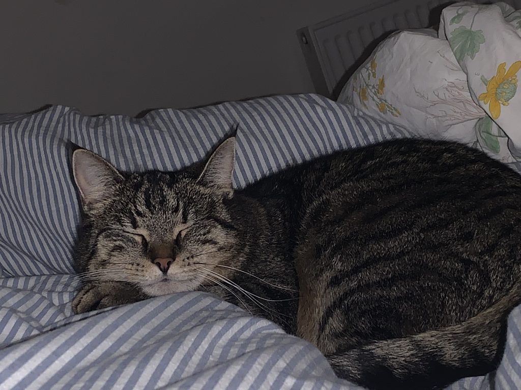 My summer holiday by Solvej Vendelboe - Ourboox.com