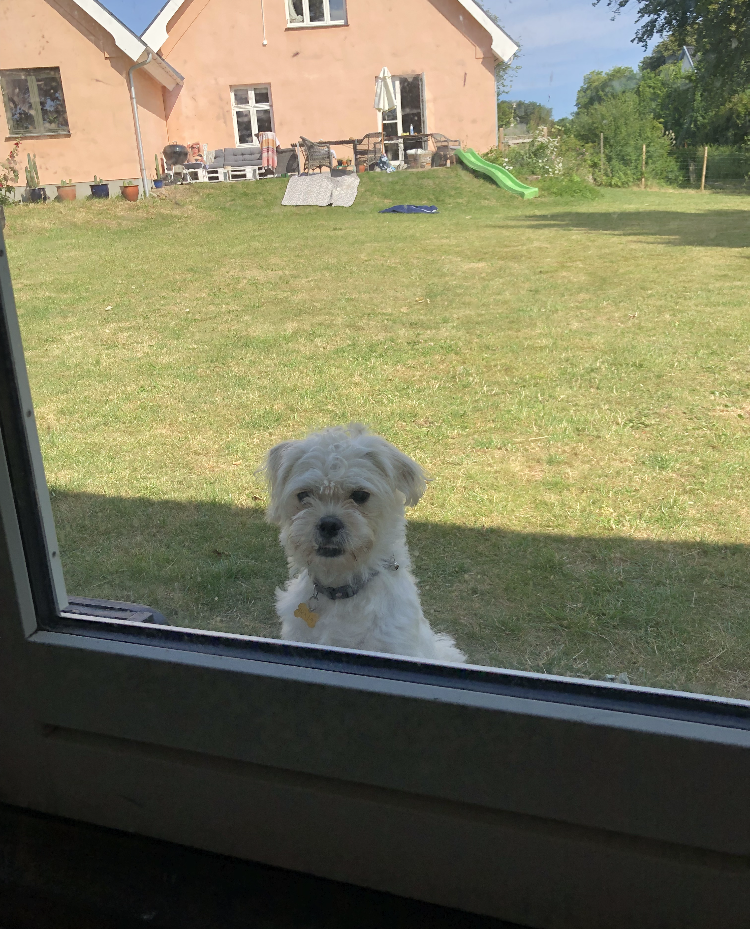 My Summer Holiday by VeraPors - Ourboox.com