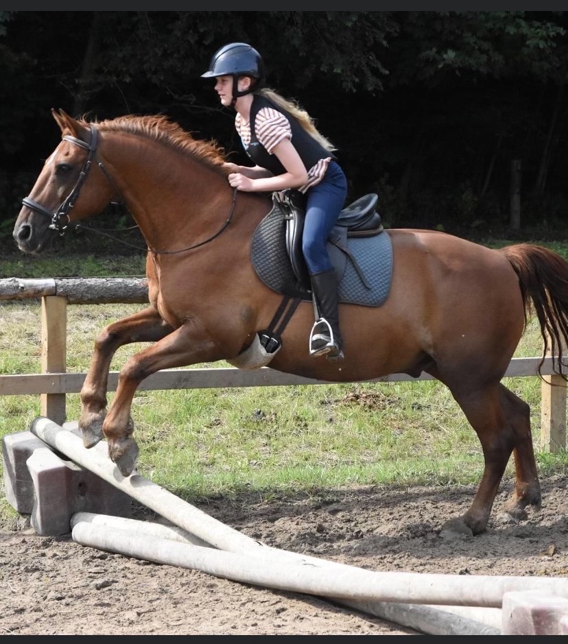 My Summer Holiday by Vigga Sauffaus - Ourboox.com