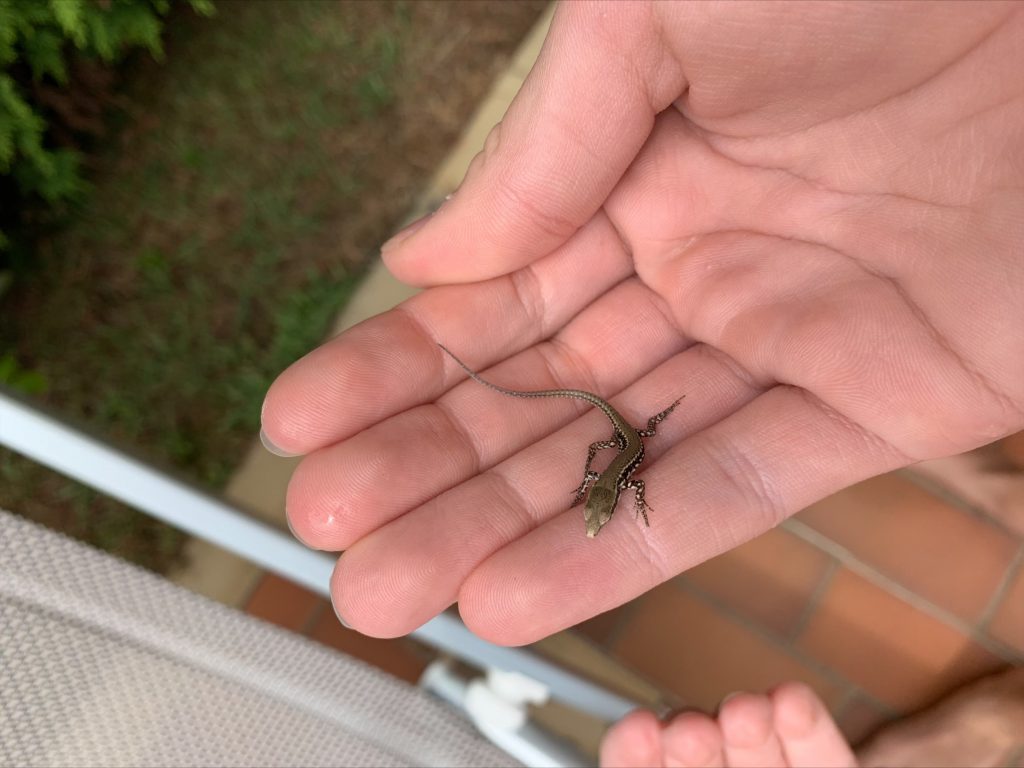 My Summer Holiday :] by EmmelineMow - Ourboox.com