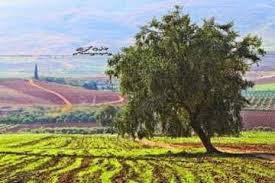 الاهضاب والاغوار في فلسطين by mariam qaq - Ourboox.com