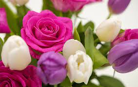 Ніжні троянди by Оксана Анатоліївна Мартинюк вчитель зарубіжної літератури Перерослівського ліцею - Illustrated by матеріали для уроків - Ourboox.com