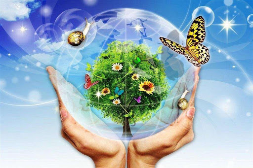 Бережи природу by Mikhailishyna Natalia - Ourboox.com