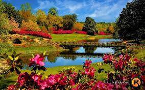 الفصول الاربعه by khdeja - Ourboox.com