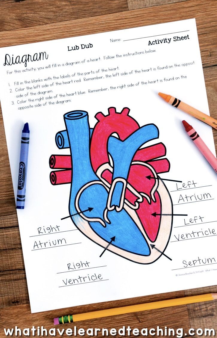 Rita Zingerman by Rita Zingerman - Ourboox.com