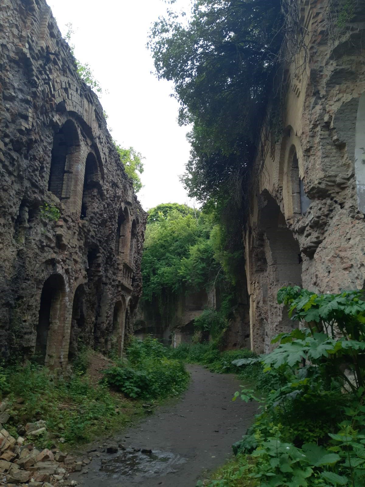 Фантастичні пригоди цього літа by 7-А  - Ourboox.com