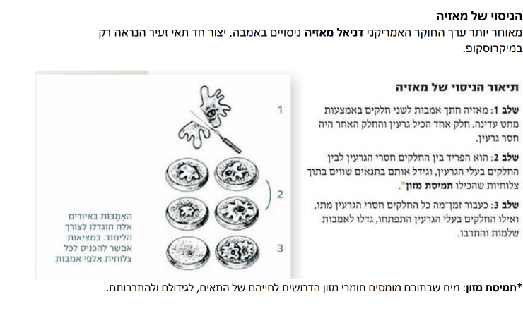 גרעין התא by nava levy - Ourboox.com