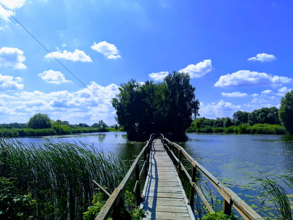 Фантастичні пригоди цього літа by 7-А  - Ourboox.com