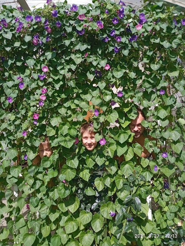 Мої пошуки скарбів цього літа by 6-В  - Ourboox.com