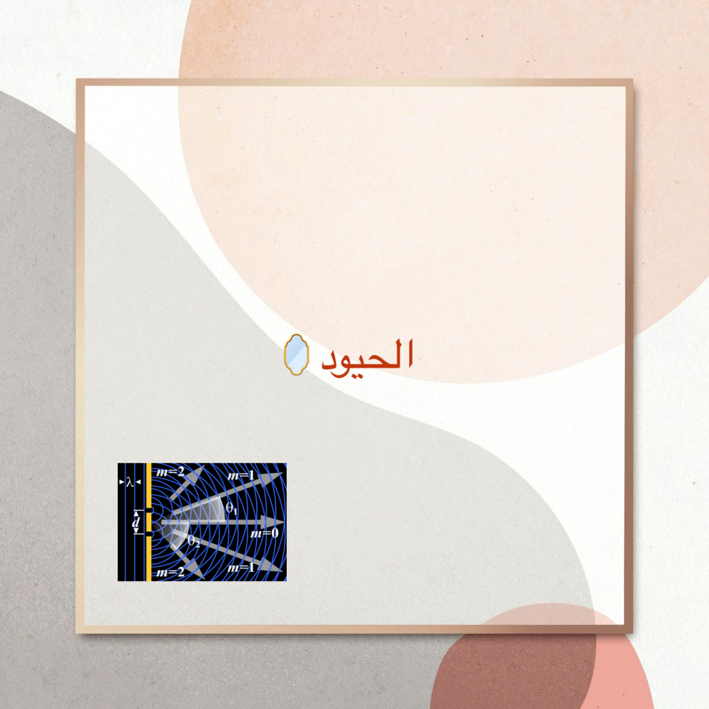 أساسيات الضوء 💡 by Elham mousa - Ourboox.com