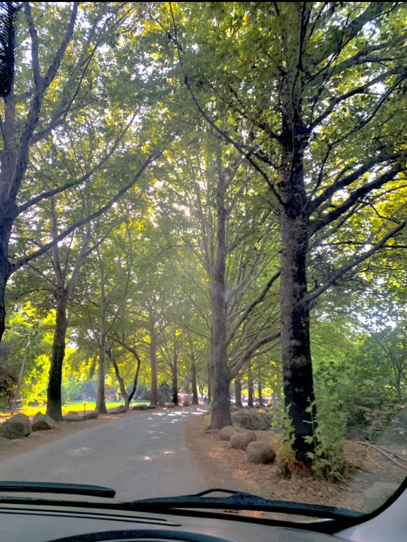 eden Dratbe by eden dratbe - Ourboox.com