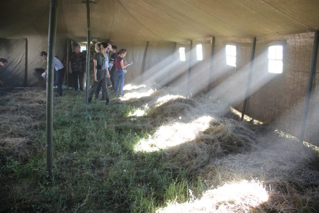 Моя книга by Xenija - Ourboox.com