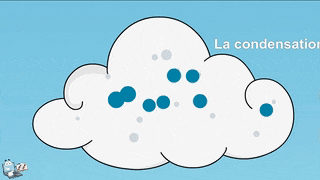 Daisy the Dancing Drop by gabby - Ourboox.com