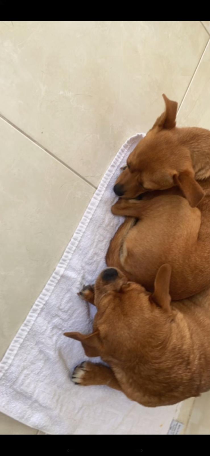 SHAHAR by SHAHARTAMAM - Ourboox.com