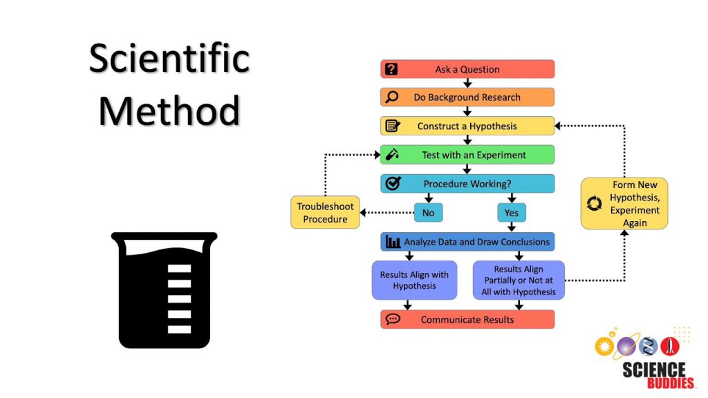 The Scientific Method by Kelly LaClaustra - Ourboox.com