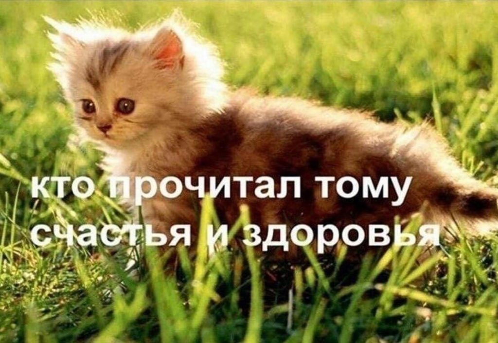 Публицистический стиль речи by Tatiyana - Ourboox.com