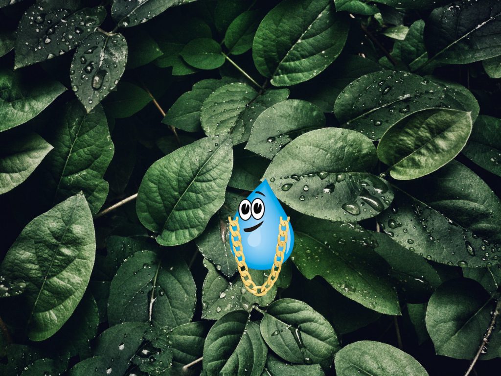 Mr. Big Drip Drip’s Journey on the Water Cycle by Aiden - Ourboox.com