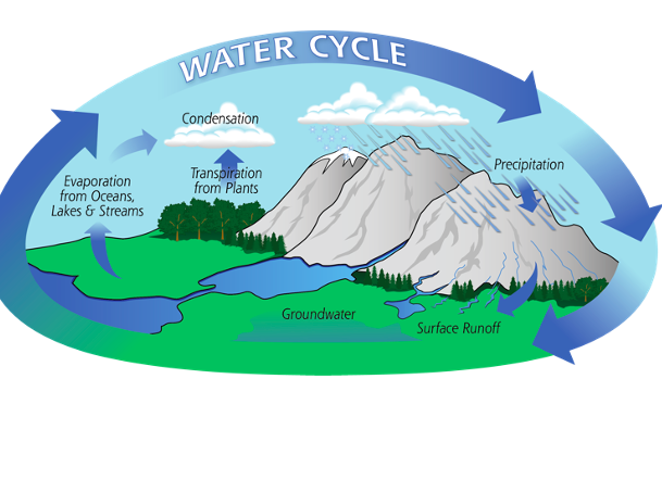 The Wonderful Water Cycle by Amelia Canestrari - Ourboox.com