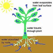 The Grand Adventure of the Water Cycle by Bren Dvorsky - Ourboox.com
