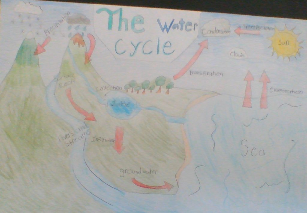 The Many Trips of Mila the Water Molecule. by Madeline Thatcher - Ourboox.com