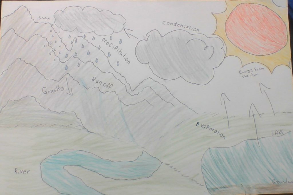 Muffin the Secret Agent by paige harksen - Ourboox.com