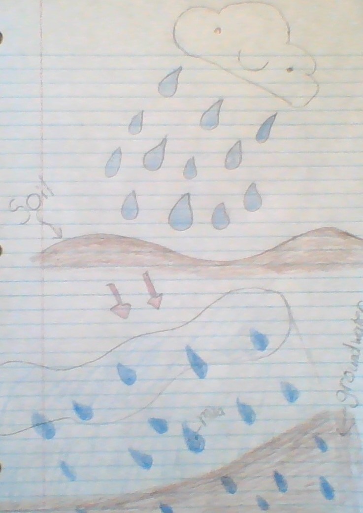 The Many Trips of Mila the Water Molecule. by Madeline Thatcher - Ourboox.com