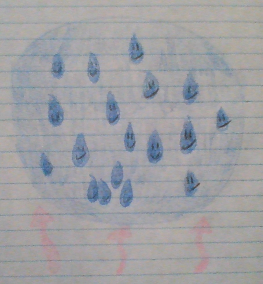 The Many Trips of Mila the Water Molecule. by Madeline Thatcher - Ourboox.com