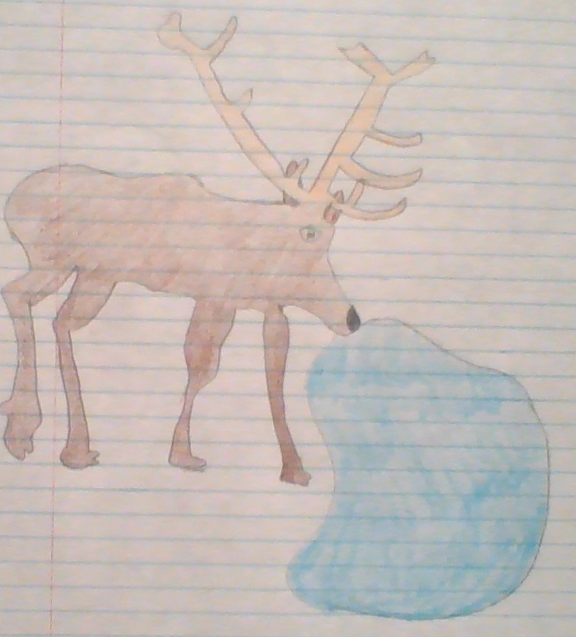 The Many Trips of Mila the Water Molecule. by Madeline Thatcher - Ourboox.com