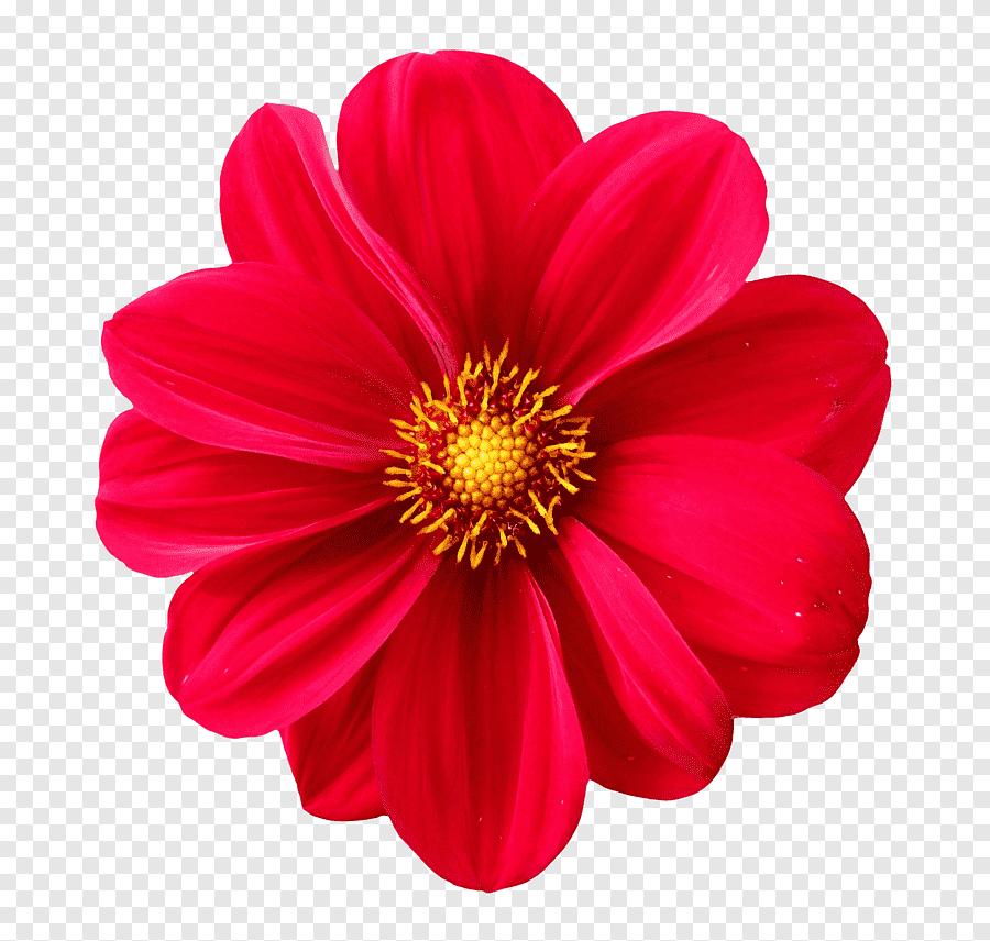 Waldo the Waterman by Quentin Rud - Ourboox.com