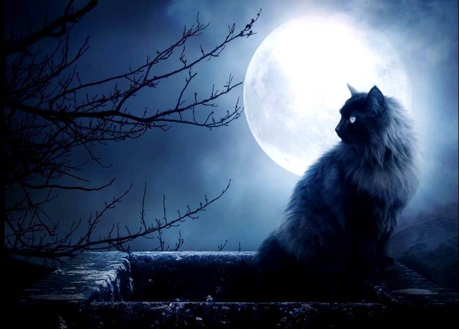 Фантастичні пригоди цього літа by 7-А  - Ourboox.com