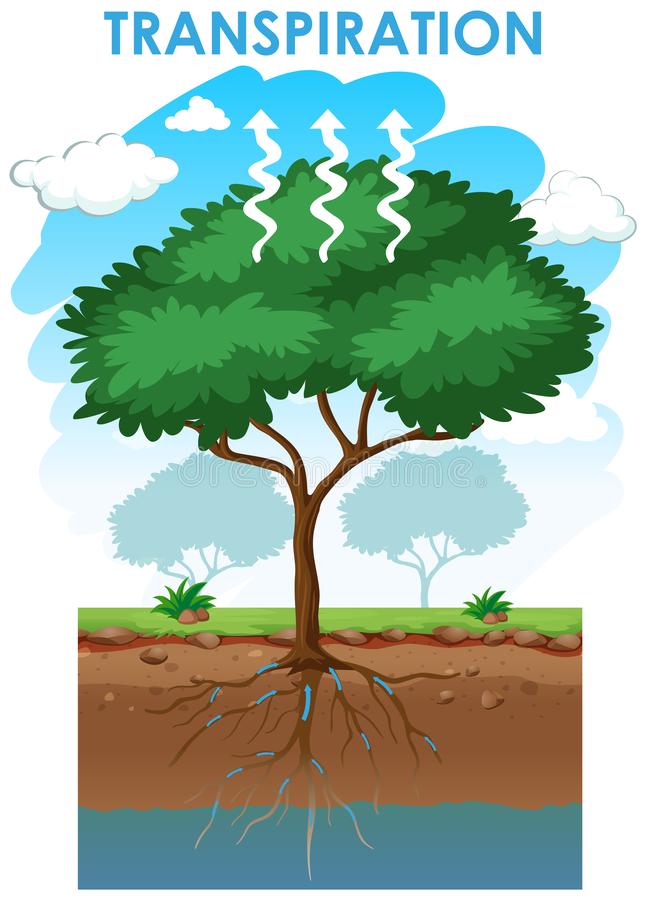 Daisy the Dancing Drop by gabby - Ourboox.com