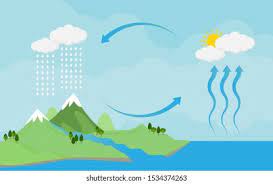 Tyrone’s Journey by Mason Grant - Ourboox.com