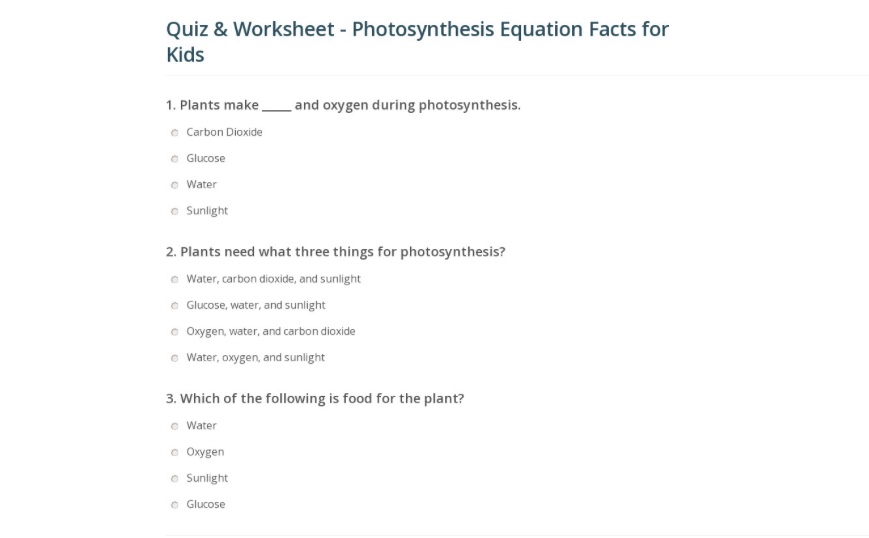 The Life Cycle of a Plant by Courtney Unger - Ourboox.com