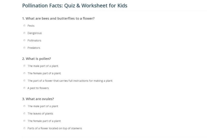 The Life Cycle of a Plant Ourboox