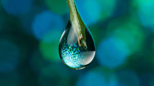 Water Molecule story by Ethan Nooteboom - Ourboox.com