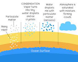 Water Molecule story by Ethan Nooteboom - Ourboox.com