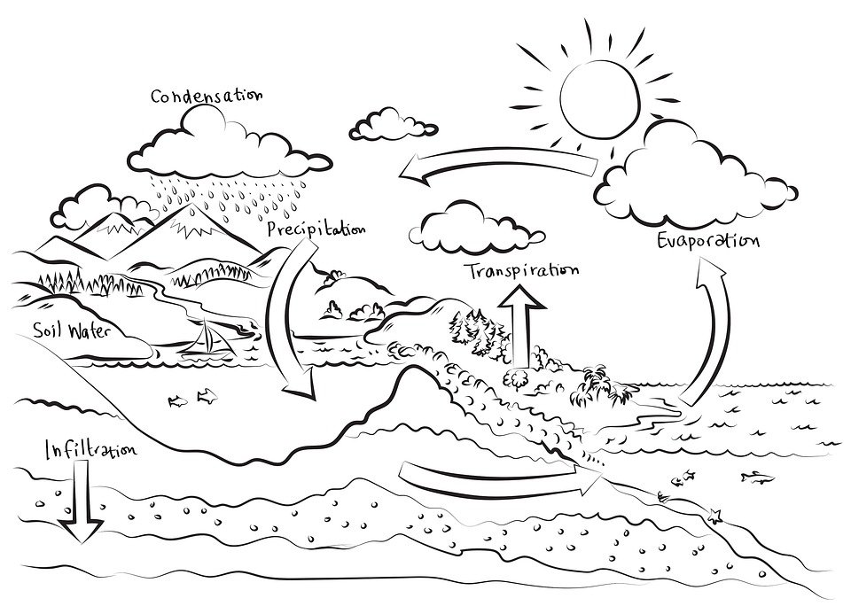 My trip through the water cycle. by Brooklyn Guild - Ourboox.com