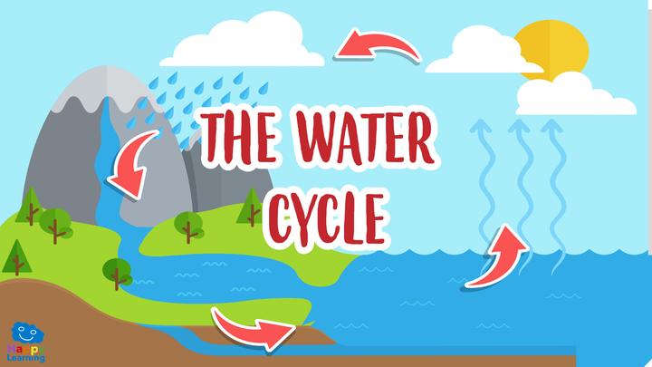 Water, Water Everywhere! The Water Cycle by Kayla Gallagher - Ourboox.com