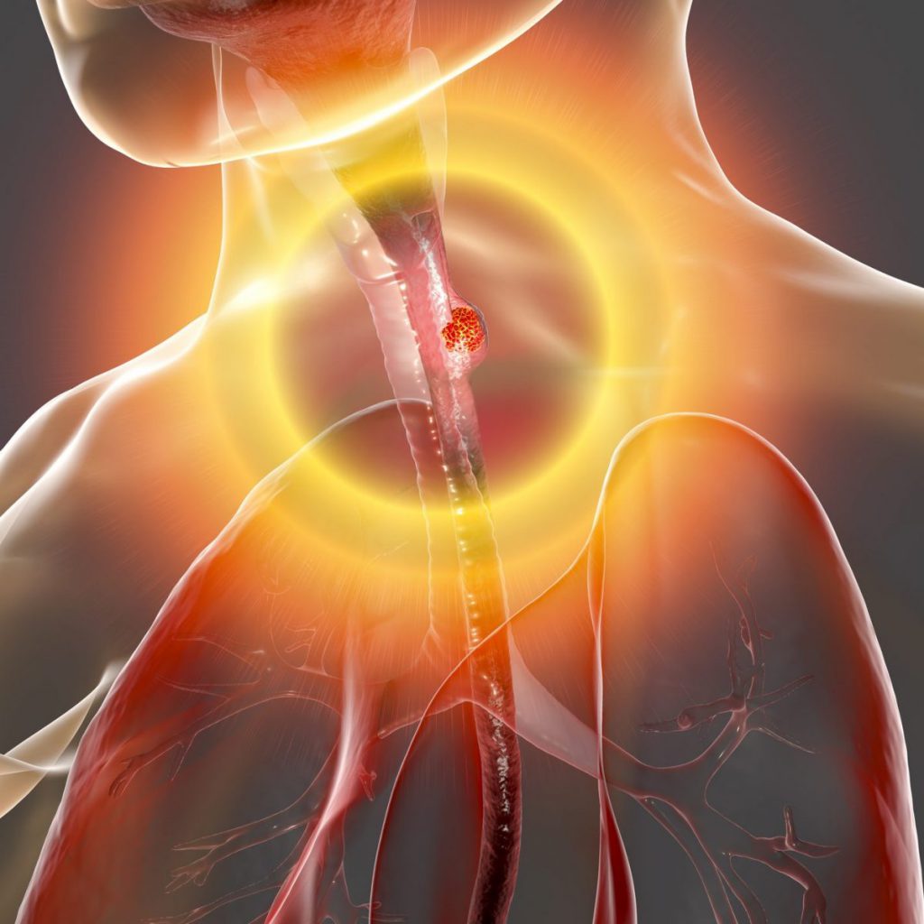 L’apparato digerente by AUDREY - Ourboox.com