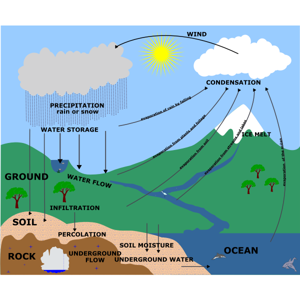 Water cycle