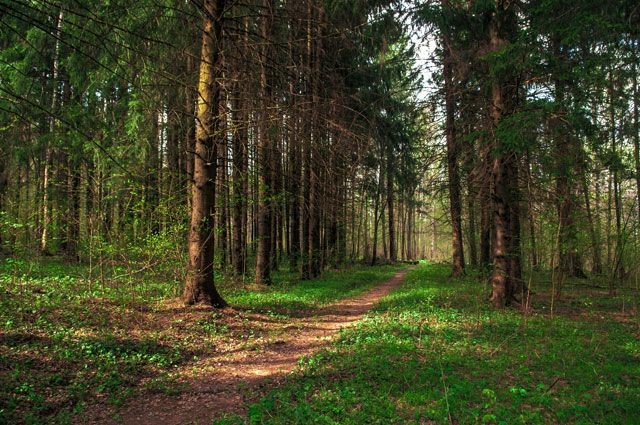 Мої пошуки скарбів цього літа by 6-В  - Ourboox.com