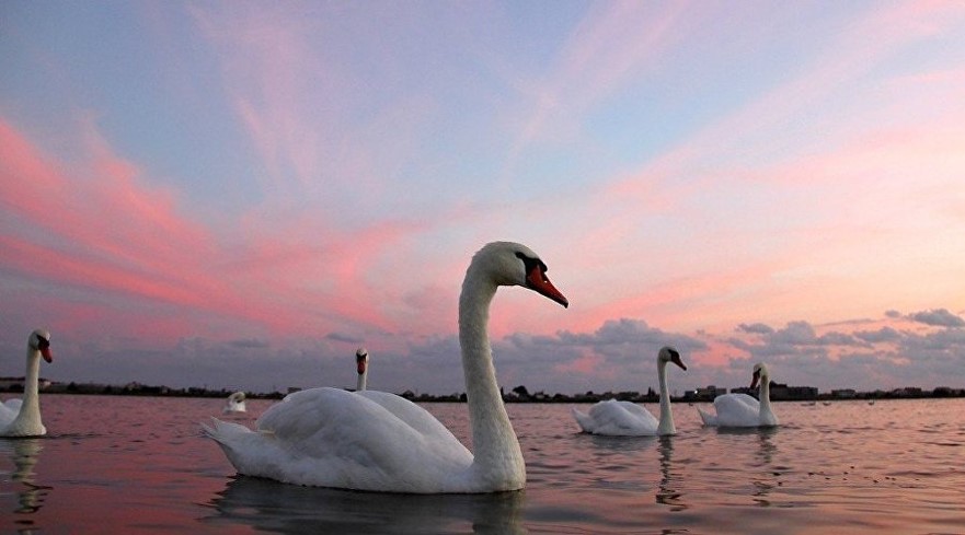 Мої пошуки скарбів цього літа by 6-В  - Ourboox.com